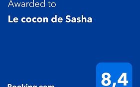 Le Cocon De Sasha - Hyper Centre - Full Climatisation - Proche Gare - 1 Chambre - Canape Convertible - Gere Par Presta-Zen'Services